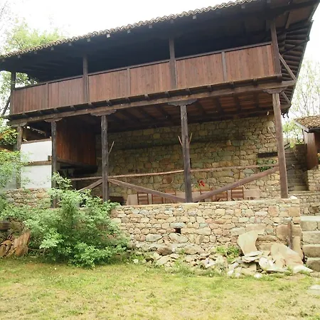Terra House Guest house *