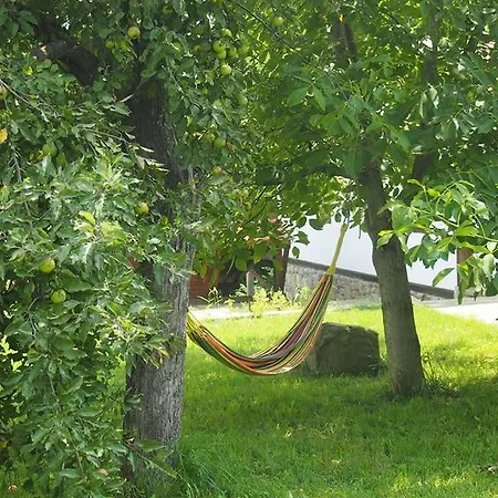 Gæstehus Terra House Mindya