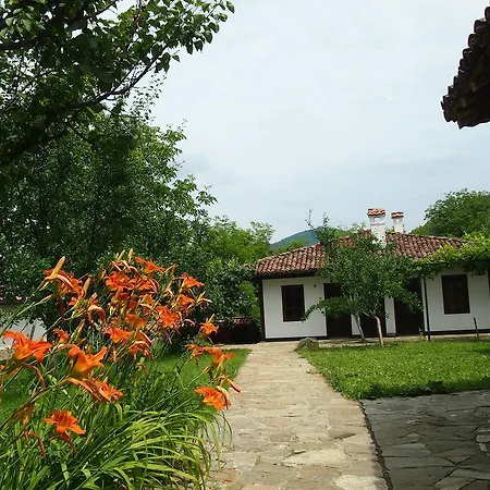 Terra House * Mindya