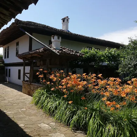 Terra House Guest house Mindya