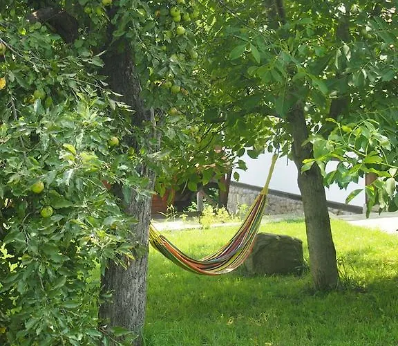 Pensjonat Terra House Mindya